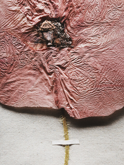 Photo : Etienne Francey