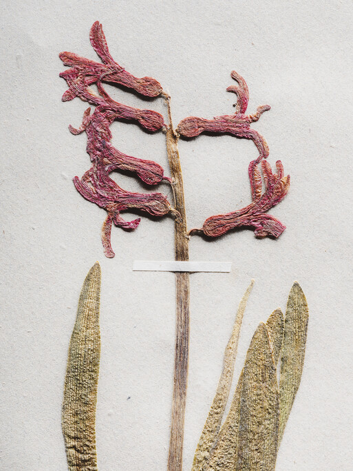 Photo : Etienne Francey