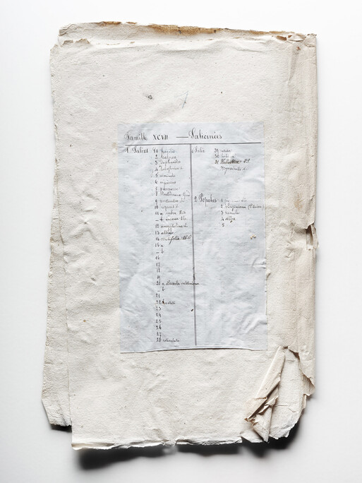 Photo : Etienne Francey