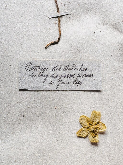 Photo : Etienne Francey