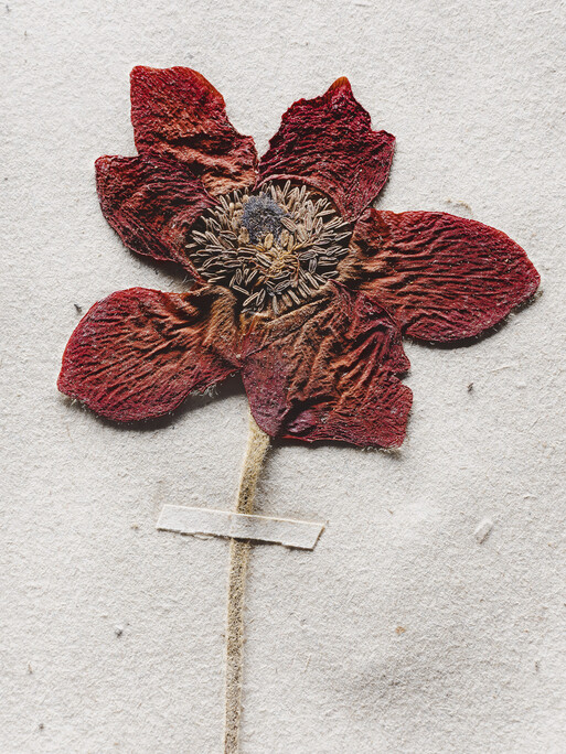 Photo : Etienne Francey