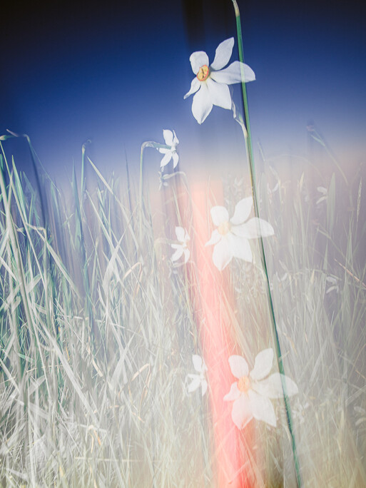 Photo : Etienne Francey