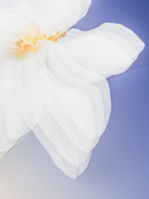 Photo : Etienne Francey