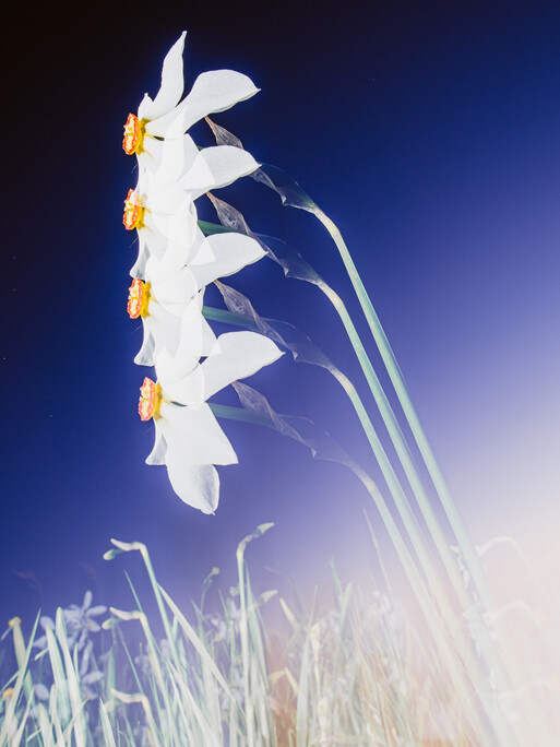 Photo : Etienne Francey