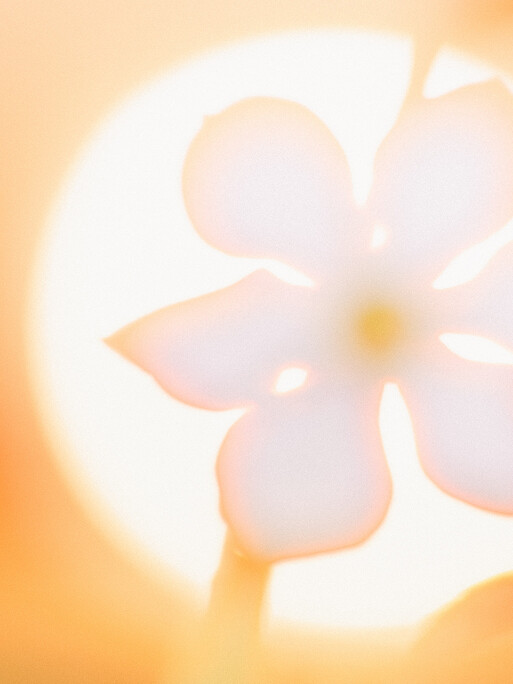 Photo : Etienne Francey