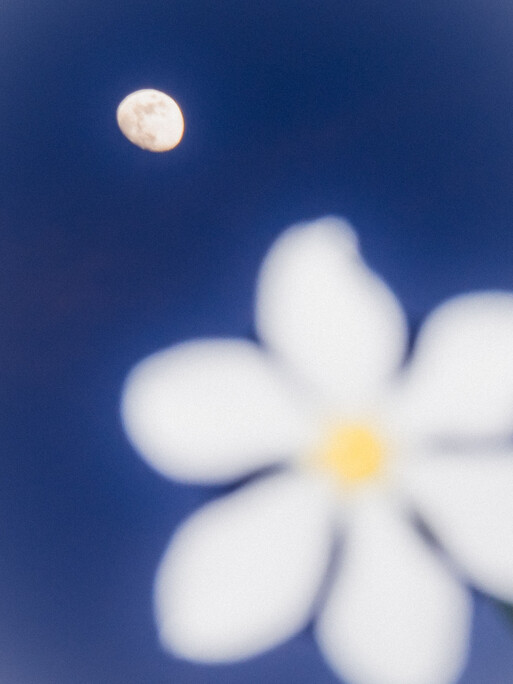 Photo : Etienne Francey