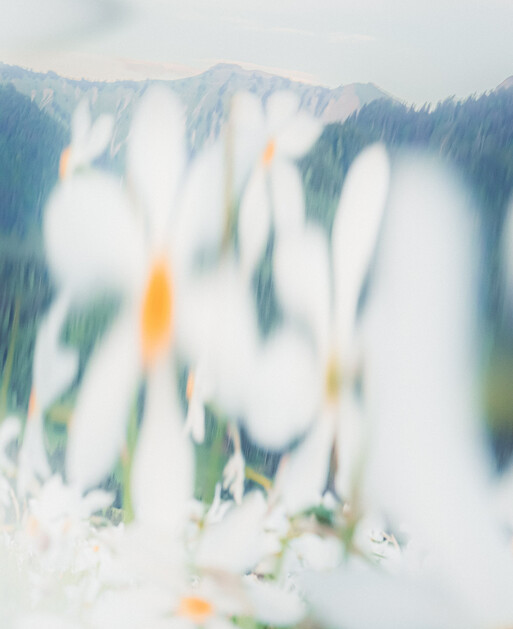 Photo : Etienne Francey