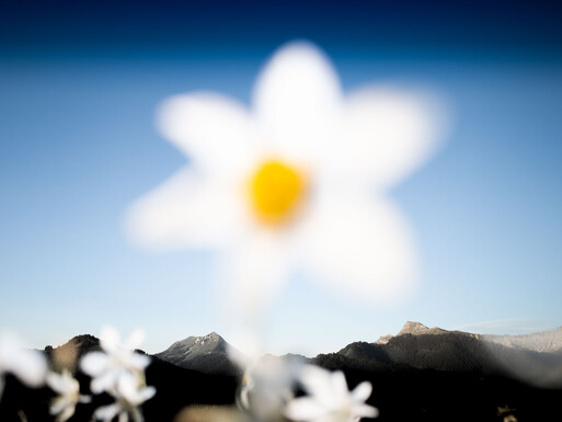 Photo : Etienne Francey