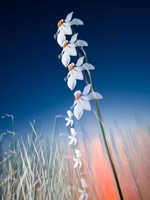 Photo : Etienne Francey