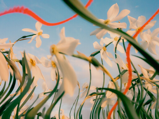 Photo : Etienne Francey