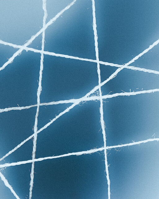 Nez Noir