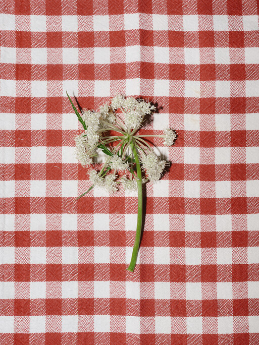 Photo : Etienne Francey