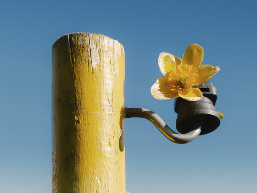 Photo : Etienne Francey