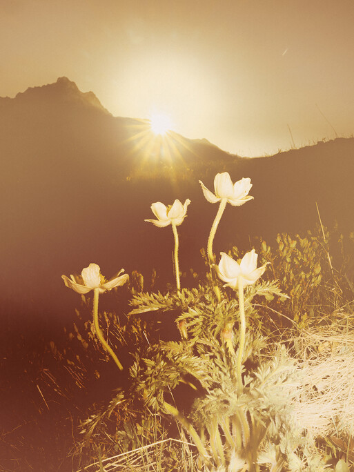 Photo : Etienne Francey