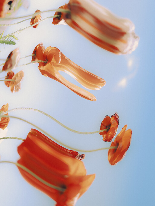 Photo : Etienne Francey