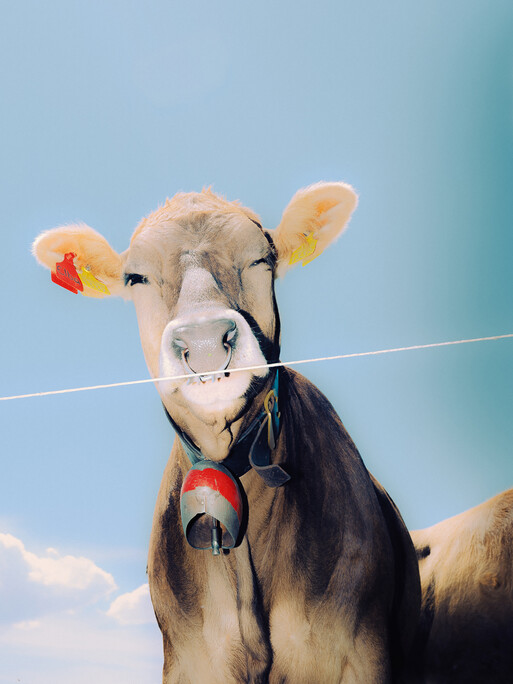 Photo : Etienne Francey