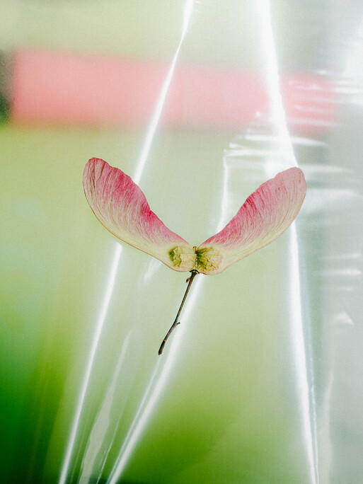 Photo : Etienne Francey