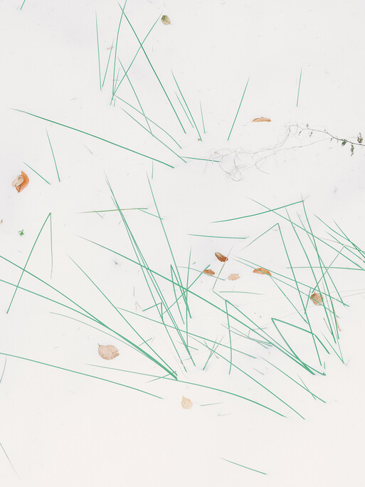 Photo : Etienne Francey