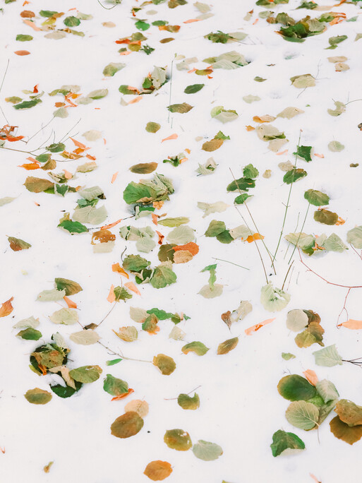 Photo : Etienne Francey