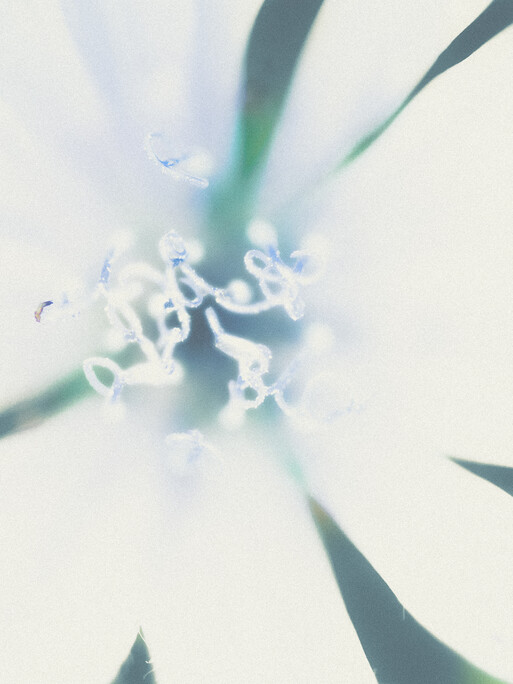 Photo : Etienne Francey