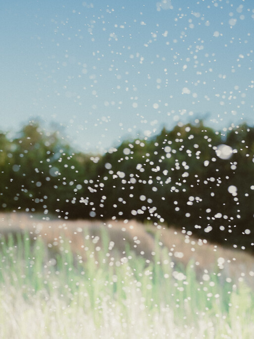 Photo : Etienne Francey