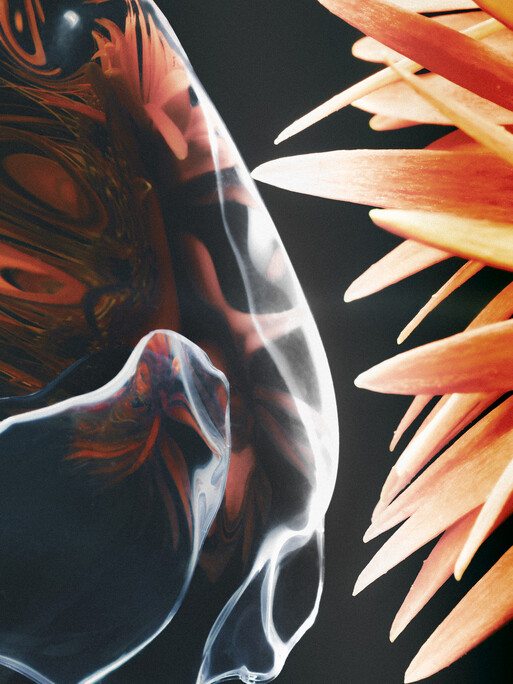 Photo : Raisa Balona