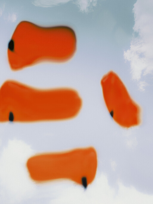 Photo : Etienne Francey