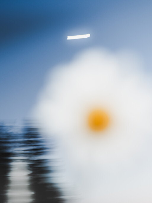 Photo : Etienne Francey