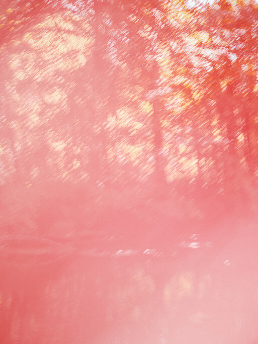 Photo : Etienne Francey