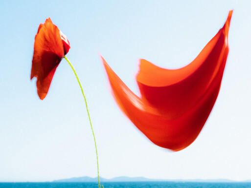 Photo : Etienne Francey