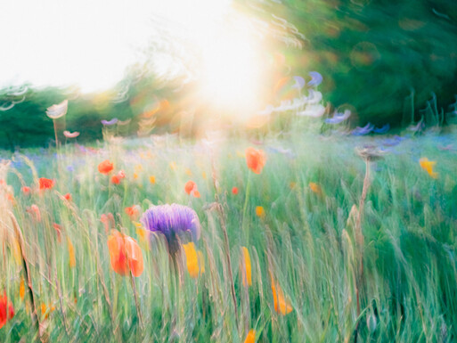 Photo : Etienne Francey