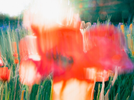 Photo : Etienne Francey