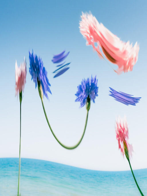 Photo : Etienne Francey