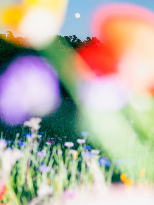 Photo : Etienne Francey