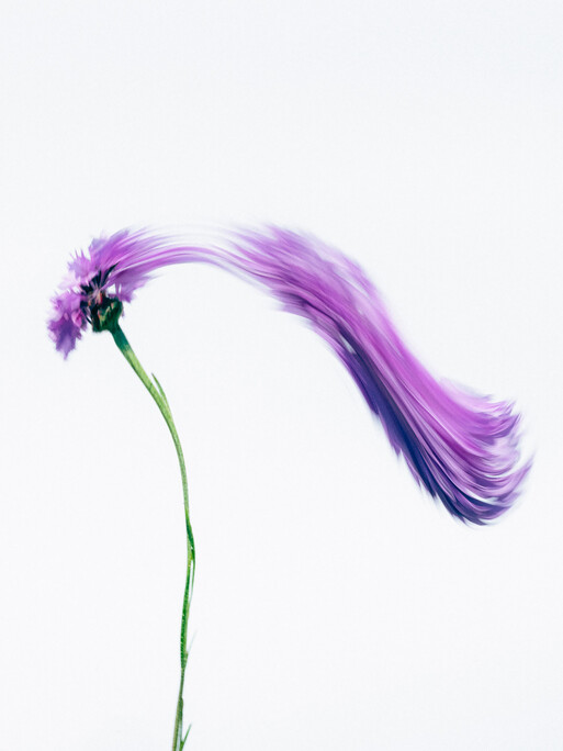 Photo : Etienne Francey