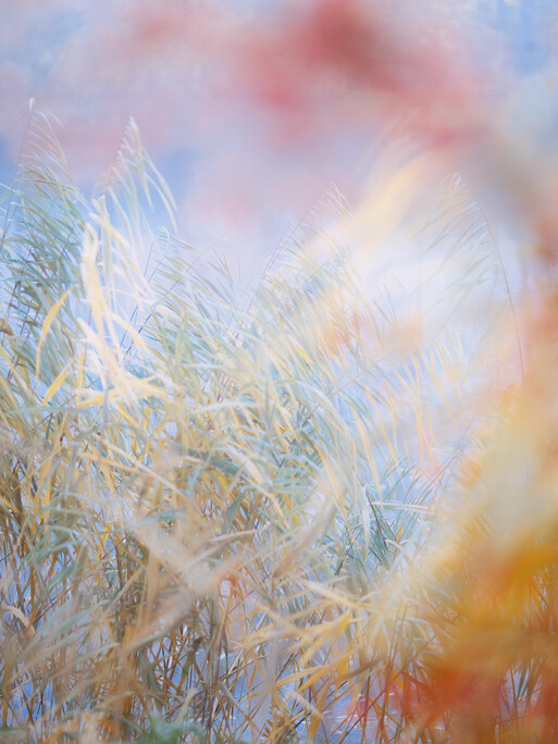 Photo : Etienne Francey