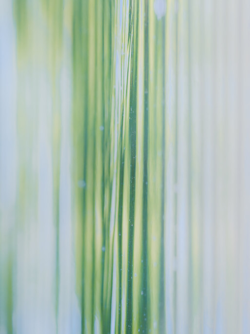 Photo : Etienne Francey