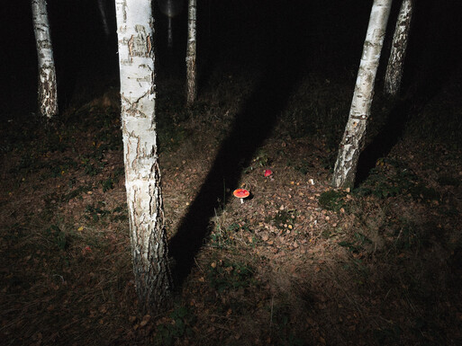 Photo : Etienne Francey
