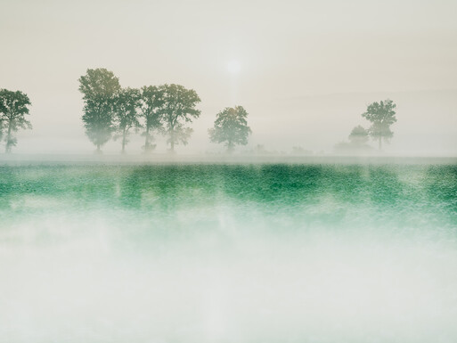 Photo : Etienne Francey