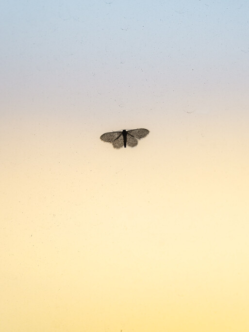 Photo : Etienne Francey