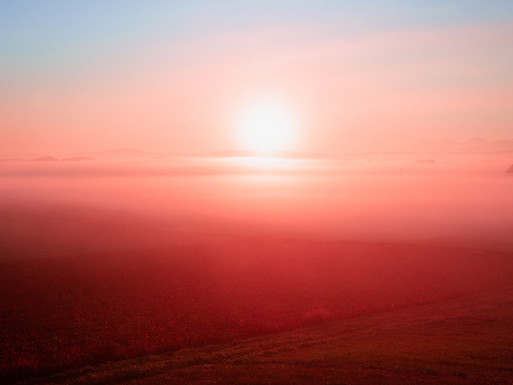 Photo : Etienne Francey