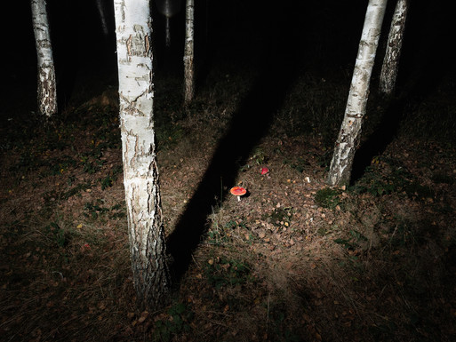 Photo : Etienne Francey