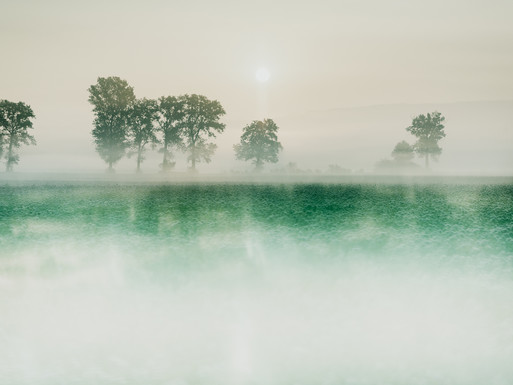 Photo : Etienne Francey