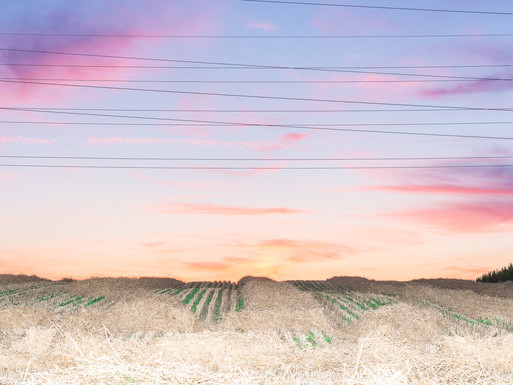 Photo : Etienne Francey