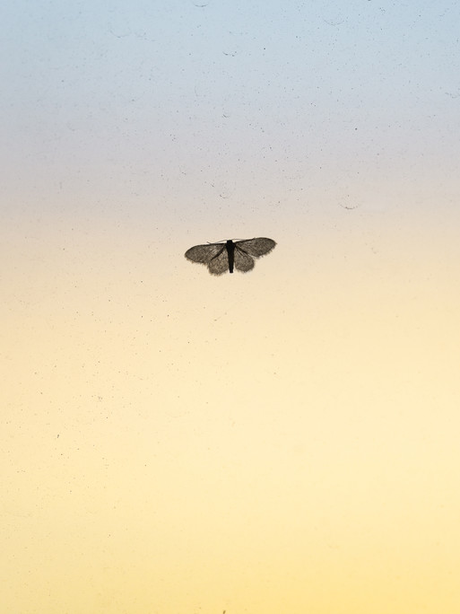 Photo : Etienne Francey