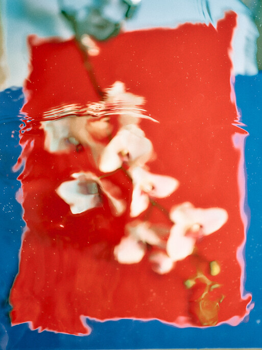 Photo : Etienne Francey