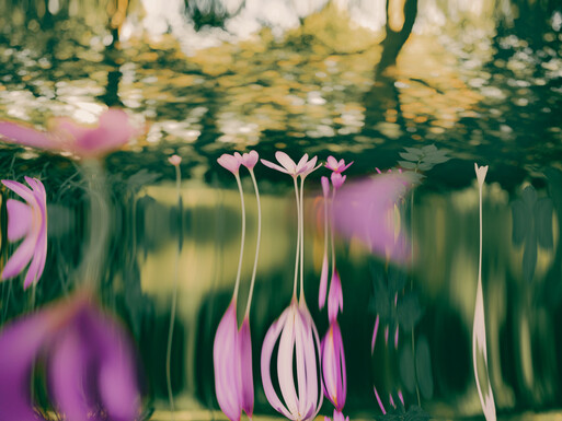 Photo : Etienne Francey