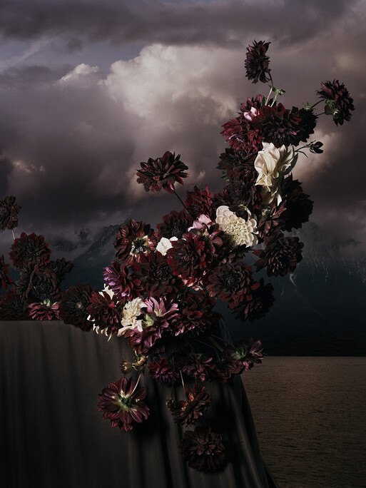 Photo : Amy Humphreys