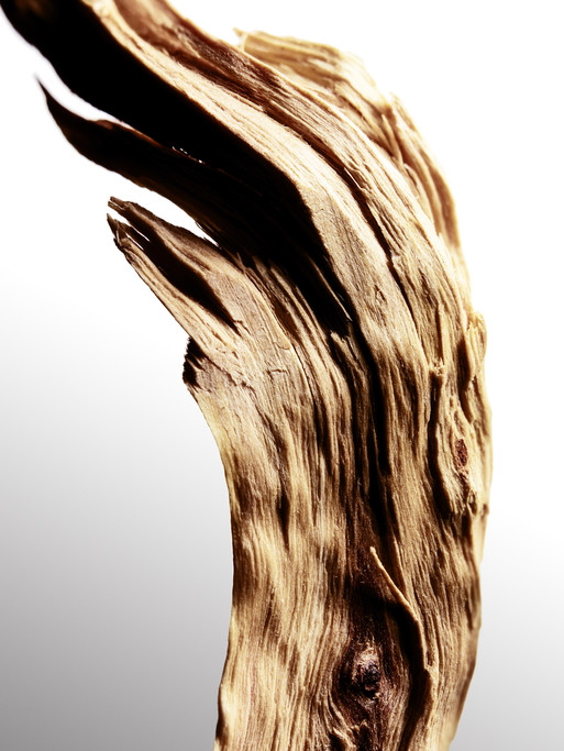 Photo : Federico Berardi