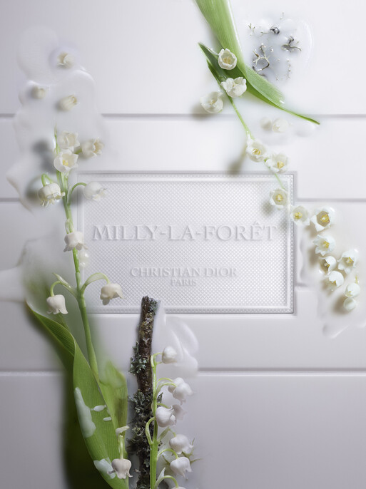 Photo : Gaël Langevin